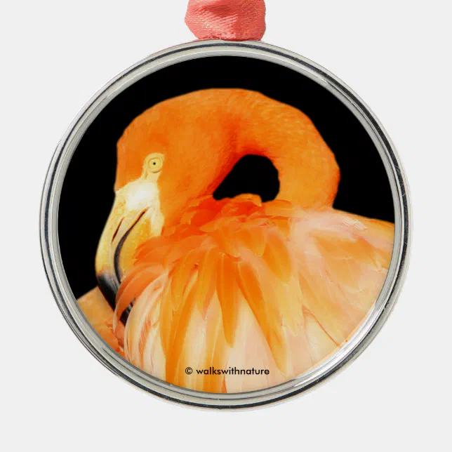 Elegant Flamingo in the Summer Sun Metal Ornament