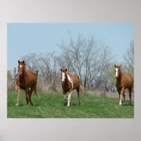 Three Horses Poster