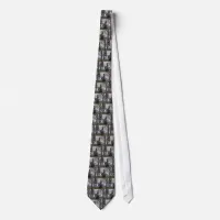 Eleanor Roosevelt Monument Tie