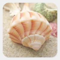 Striped Sea Shell Lightning Whelk Square Sticker