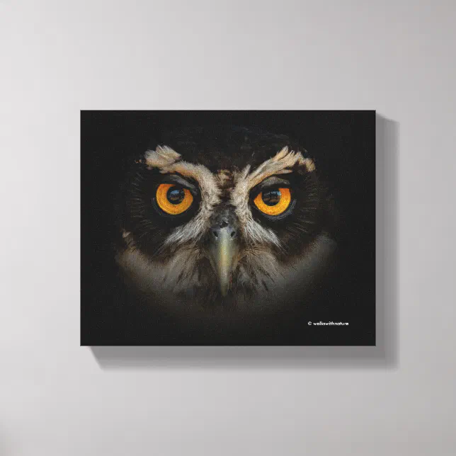 Mesmerizing Golden Eyes of a Spectacled Owl Canvas Print