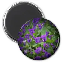 Wisconsin State Flower: Wood Violet spotlight Magnet
