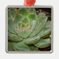 Succulent, Hen and Chicks Metal Ornament