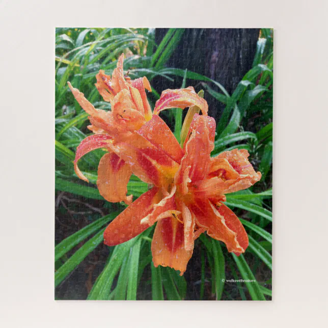 Elegant Bedewed Orange Double Flowered Daylilies Jigsaw Puzzle