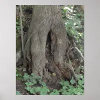 Nature Photography Tree Trunk Fairy Door Poster