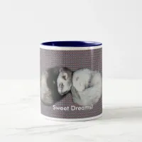 Sweet Dreams Ferrets Two-Tone Coffee Mug