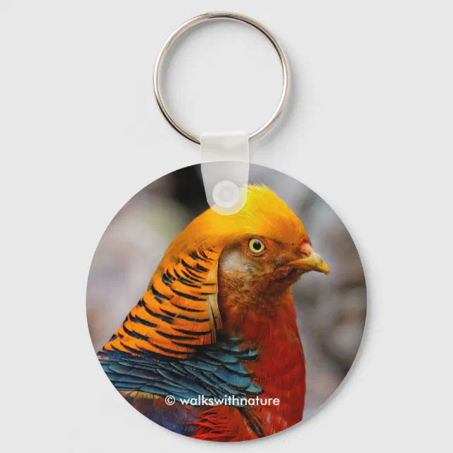 Stunning Closeup of Red Golden Pheasant Gamebird Keychain