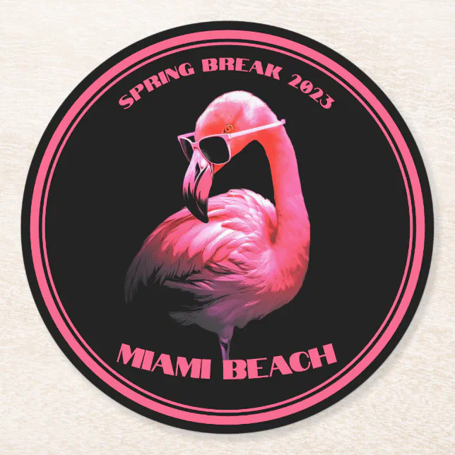 Spring Break Miami Beach Flamingo Sunglasses