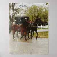 Getting the new horse home the Amish way Poster