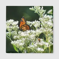 Butterfly and Bees on White Common Boneset Flower Magnet