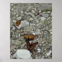 The 3 Butterflies Poster