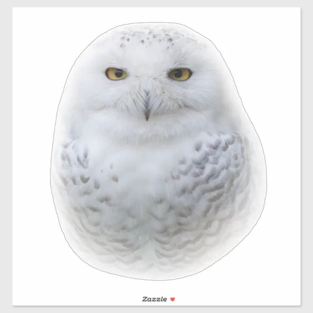 Beautiful, Dreamy and Serene Snowy Owl Sticker