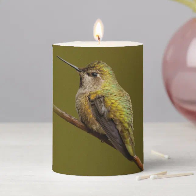 Anna's Hummingbird on Scarlet Trumpetvine Branch Pillar Candle