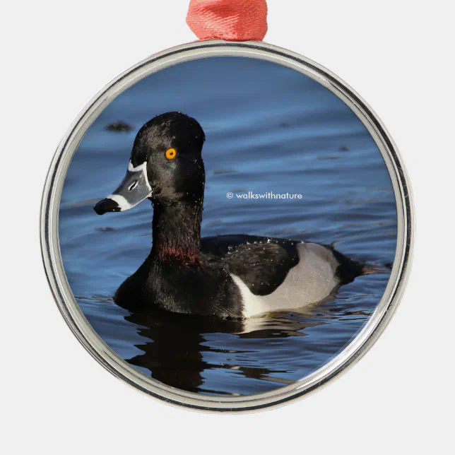 Sunlit Profile of a Ring-Necked Duck Metal Ornament