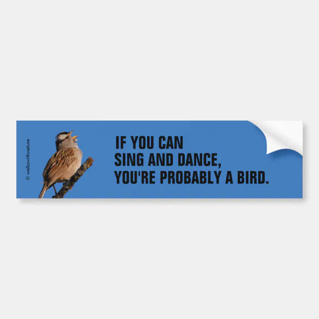 If You Can Sing and Dance: White-Crowned Sparrow Bumper Sticker