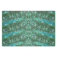 Peacock feathers, abstract - pattern in acrylic tissue paper