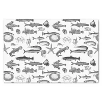 Vintage Black & White Line Art Sea Creatures  Tissue Paper