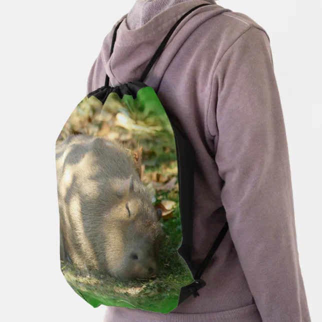 Cute Capybara Dreams in the Summer Sun Drawstring Bag