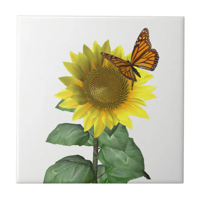 Pretty Yellow Sunflower and Orange Butterfly