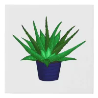 Aloe Vera Houseplant Drawing Faux Canvas Print