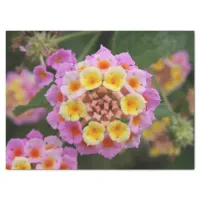 Makro: Pink and Yellow Lantana Flower Tissue Paper