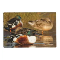 A Flock of Northern Shovelers Placemat