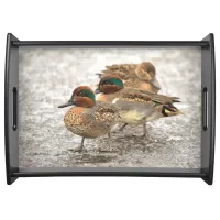 Cute Little Trio of Green-Winged Teals Serving Tray