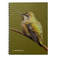 Anna's Hummingbird on Scarlet Trumpetvine Notebook