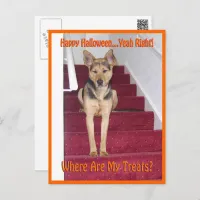 Where Are My Treats GSD Dog Halloween Postcard