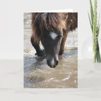 Swimming Horse Birthday Card