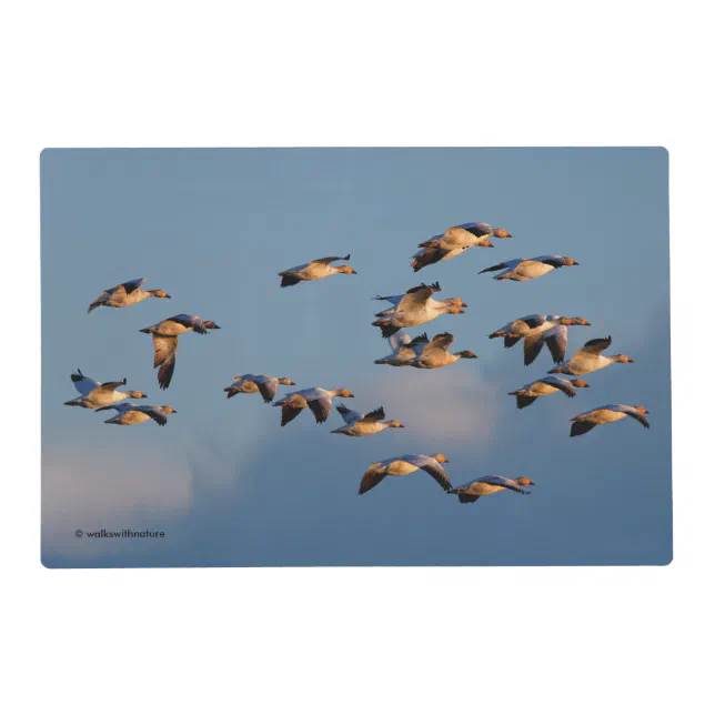 Snow Geese in Sunset Flight Placemat