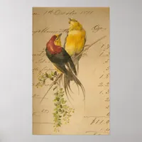 Colorful Vintage Birds On Vintage Ledger Collage Poster