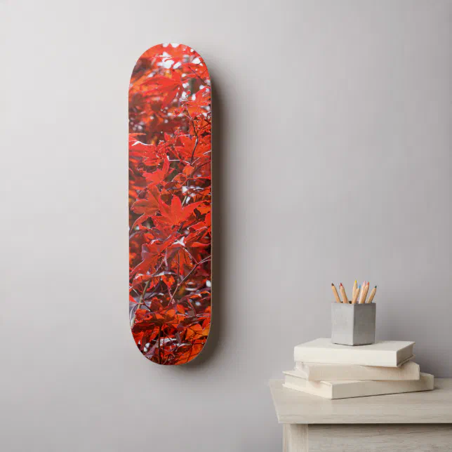 Elegant Red Japanese Maple Leaves Skateboard