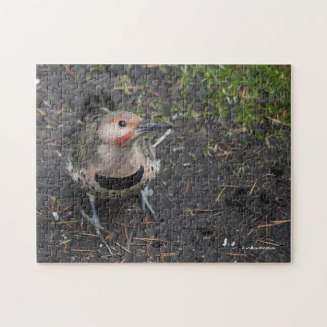 Bird's Eye View of Northern Flicker Woodpecker Jigsaw Puzzle