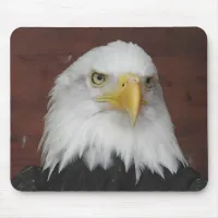 Photograph of an Eagle I Took in Dubuque, Iowa Mouse Pad