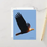 Breathtaking Bald Eagle in Winter Sunset Flight Postcard