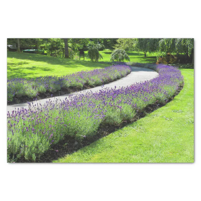 Stunning Lavender-Lined Garden Walk Landscape Tissue Paper