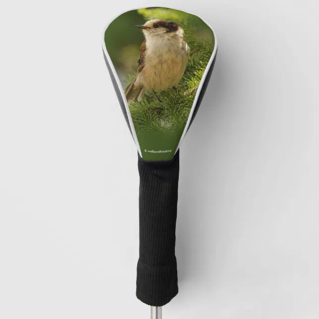 Cute Canada Gray / Grey Jay / Whiskeyjack Golf Head Cover