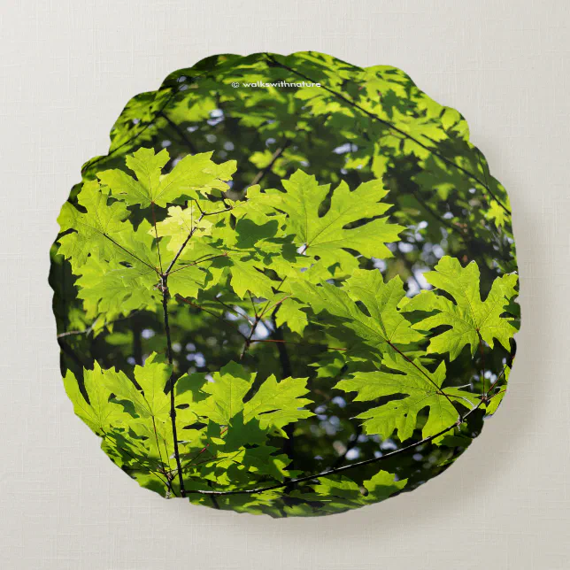 Stunning Sun-Dappled Leaves in Forest Round Pillow