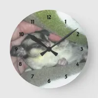 Sugar Glider Sleeping in Blanket Round Clock