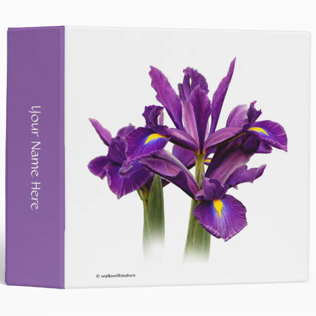 Dutch Iris Purple Sensation Binder