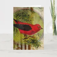 Vintage Red Bird Birthday Collage Card