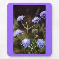 Wildflower: Field Scabious Mouse Pad