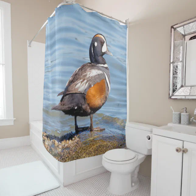 Beautiful Harlequin Duck on the Rock Shower Curtain