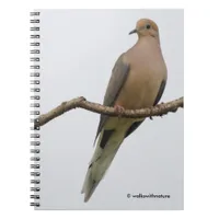 Portrait of a Mourning Dove Notebook