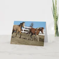 Buckskin and Paint Horse Card