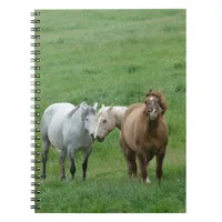 Funny Horses Notebook