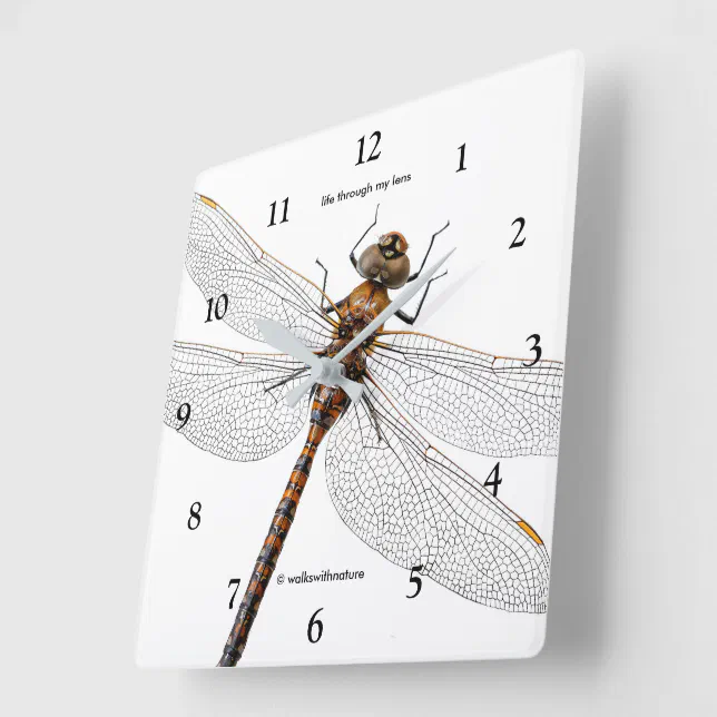 Closeup of a Canada Darner Dragonfly Square Wall Clock