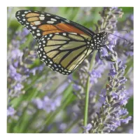 Lavender Flowers and Monarch Butterfly Photography Faux Canvas Print