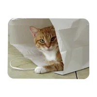 Orange Tabby Cat Flexible Magnet